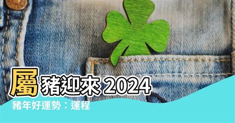 豬年運程2024|【屬豬2024生肖運勢】暗湧頻生，運勢反覆｜屬豬運 